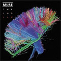 Muse - 2nd Law - Album Cover