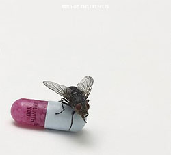 Red Hot Chili Peppers - I'm With You - Album Cover